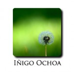 Iñigo Ochoa