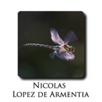 Nicolás López de Armentia