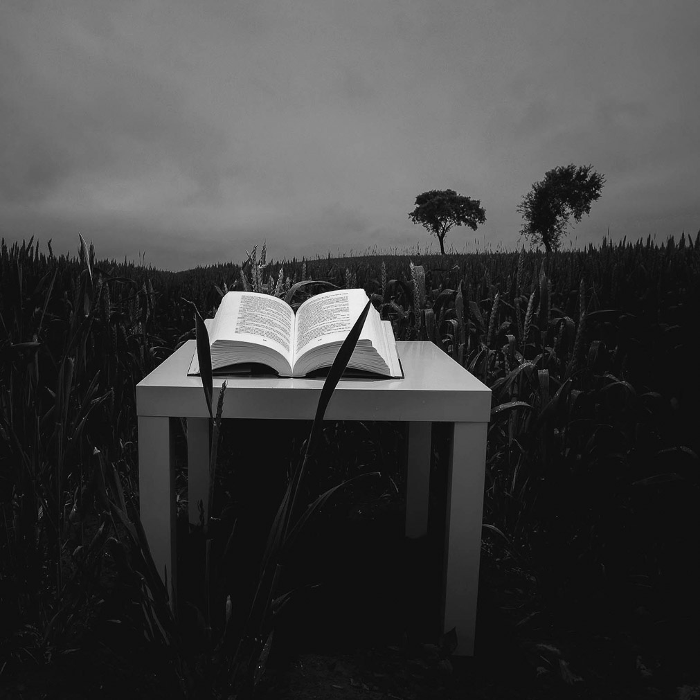 07_De vuelta a los origenes