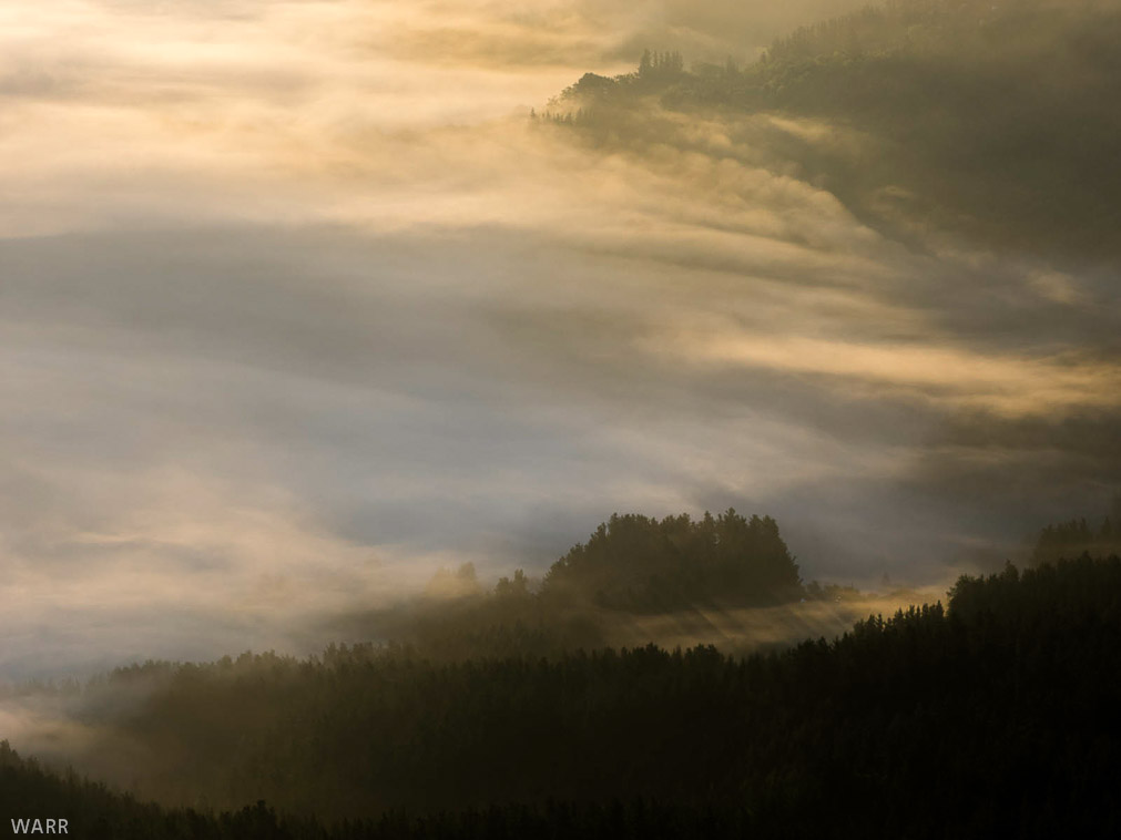 La luz entre árboles y nubes
