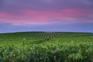 14904517007_37fa93388b_z