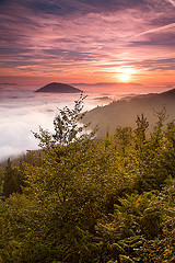 Amanecer Kurutzeta (Alfredo)