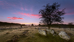 Amanece en Entzia (Alfredo)