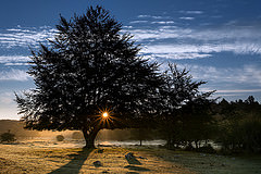 Amanece en Entzia (Alfredo)