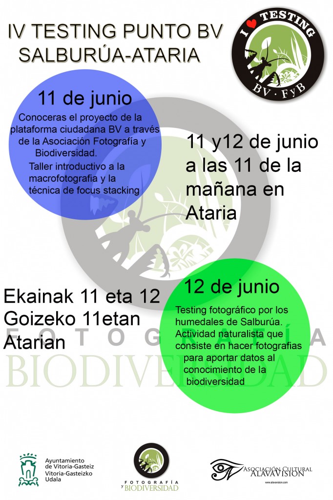 C-_Users_Niko_Documents_cartel-IV-testing